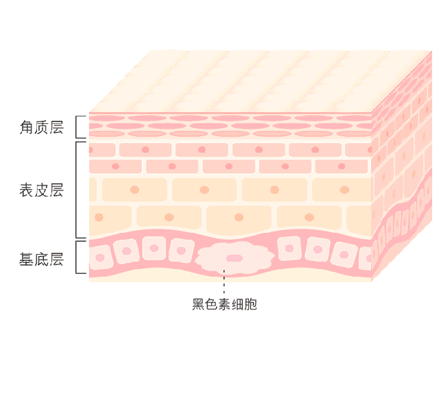 夏天要白三个度 就得用它！用它！用它！3.gif